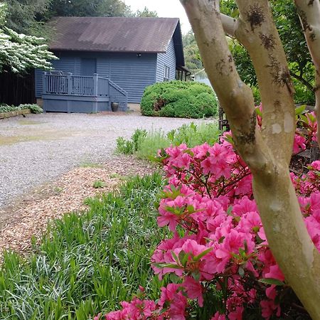 Restored1850S Log Cabin, With Gazebo And Gardens! 1 Mile To Downtown Weaverville Exterior photo