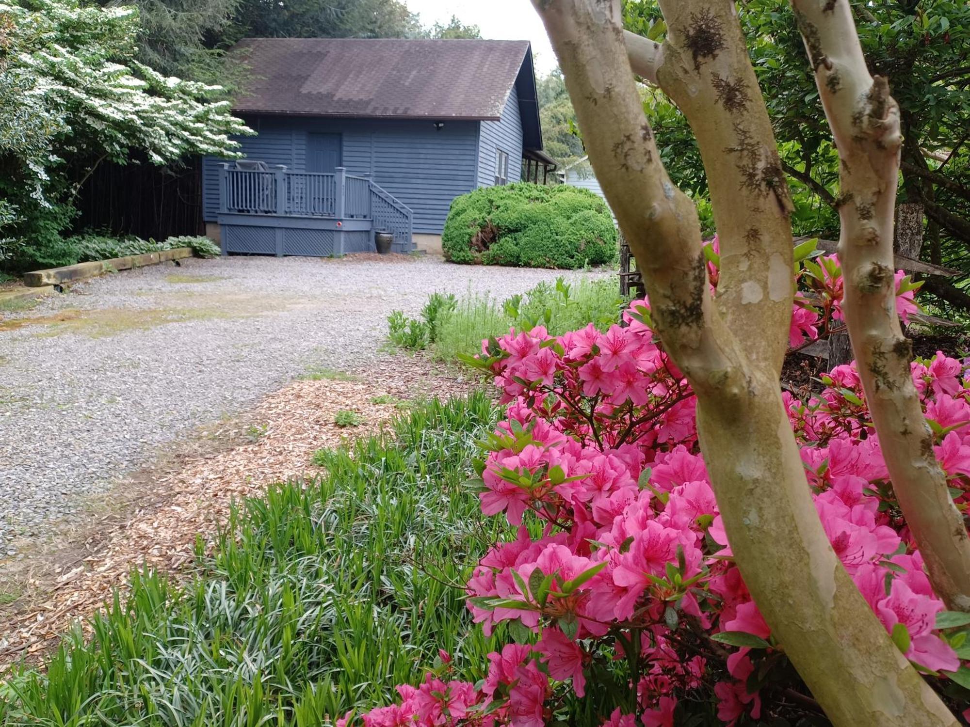 Restored1850S Log Cabin, With Gazebo And Gardens! 1 Mile To Downtown Weaverville Exterior photo