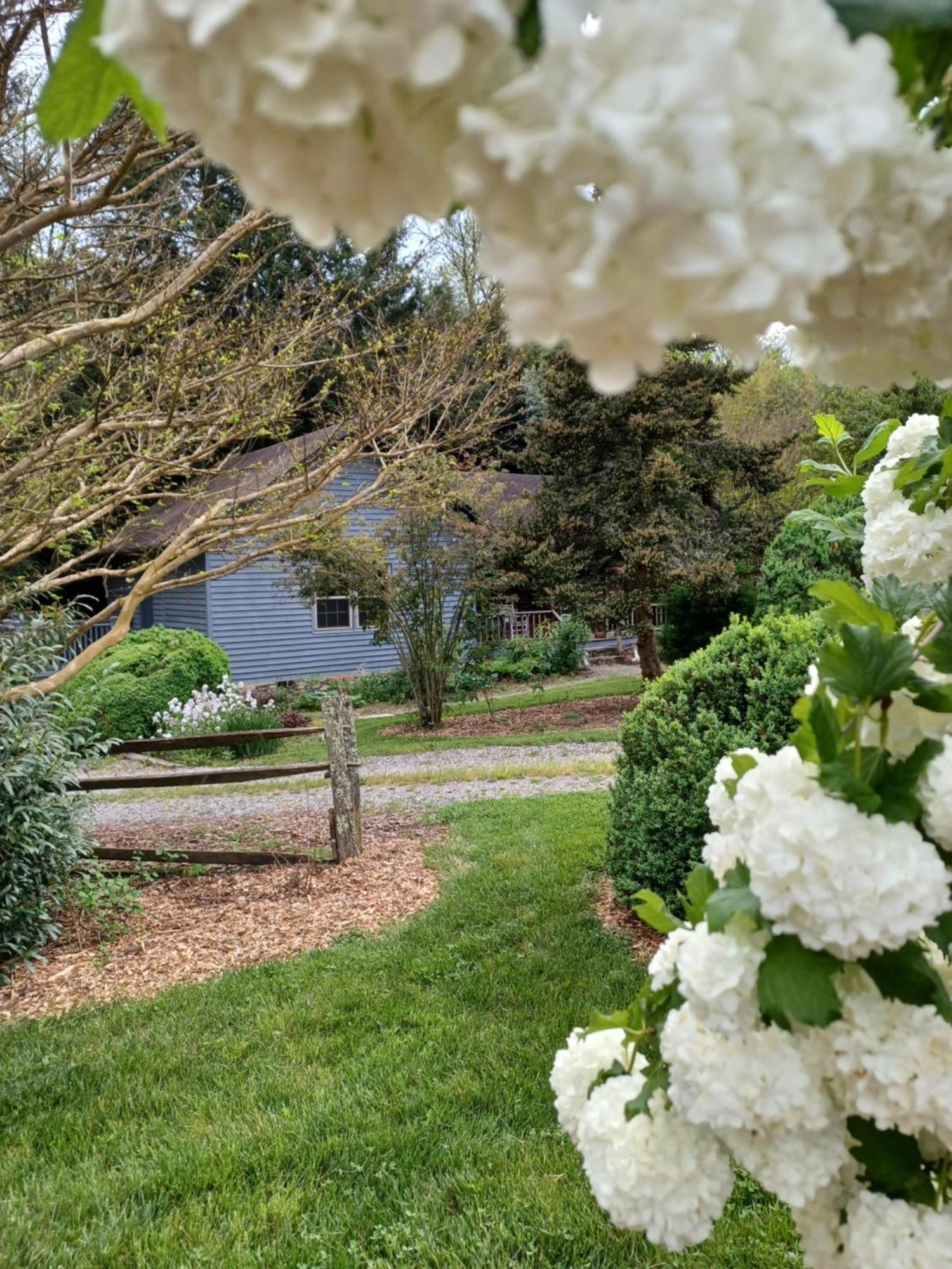 Restored1850S Log Cabin, With Gazebo And Gardens! 1 Mile To Downtown Weaverville Exterior photo