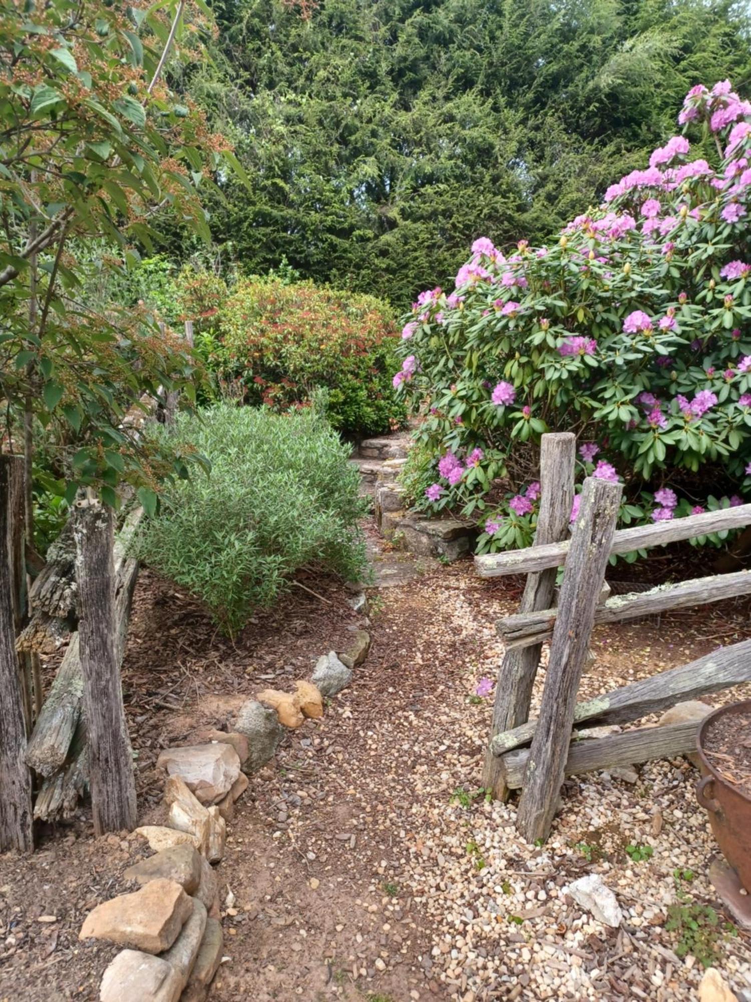 Restored1850S Log Cabin, With Gazebo And Gardens! 1 Mile To Downtown Weaverville Exterior photo
