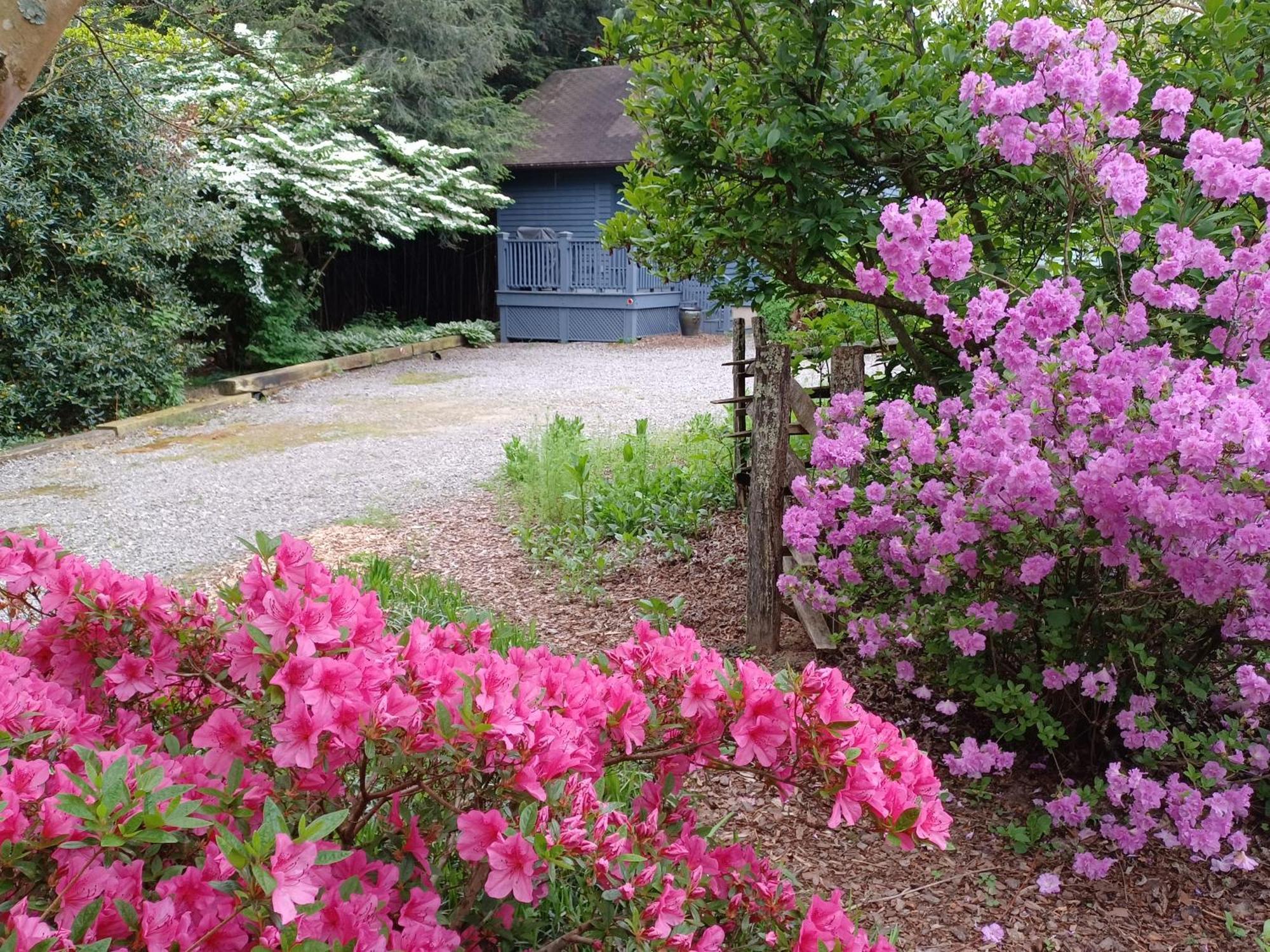 Restored1850S Log Cabin, With Gazebo And Gardens! 1 Mile To Downtown Weaverville Exterior photo