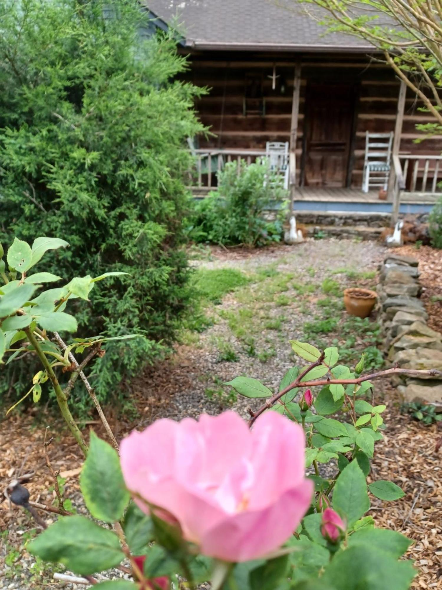 Restored1850S Log Cabin, With Gazebo And Gardens! 1 Mile To Downtown Weaverville Exterior photo
