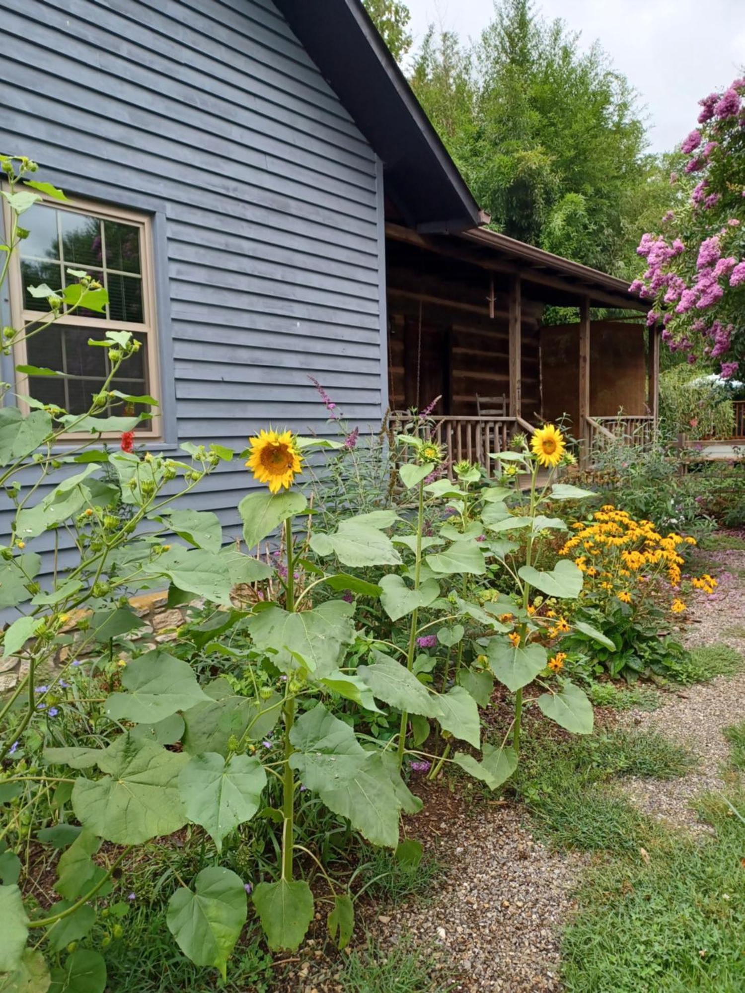 Restored1850S Log Cabin, With Gazebo And Gardens! 1 Mile To Downtown Weaverville Exterior photo